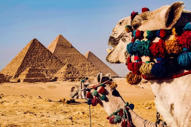 Top Things to Do in Cairo